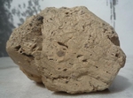 ignimbrita